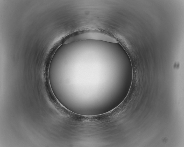 X0000091700680200709141100