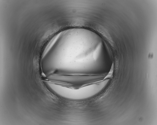 X0000091700681200709141100