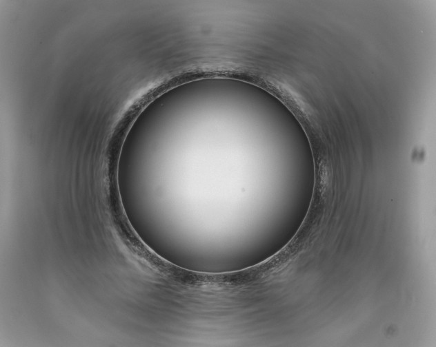 X0000091700684200709141100