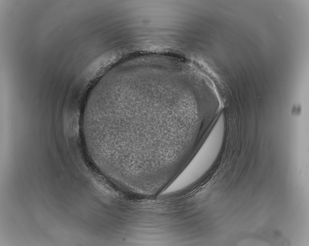 X0000091700685200709141100