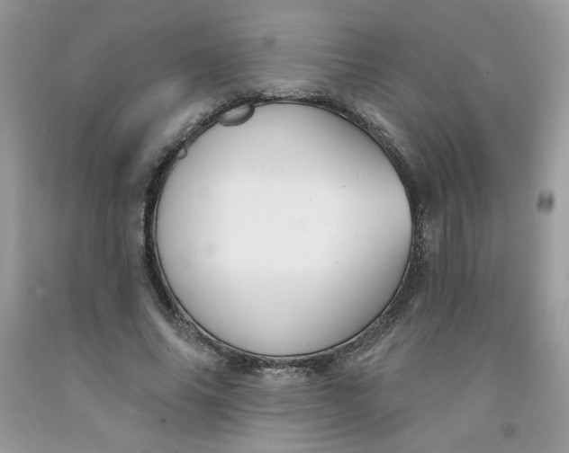 X0000091700686200709141100