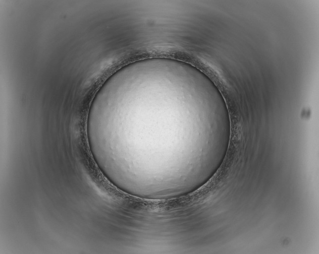 X0000091700687200709141100