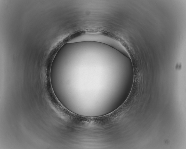 X0000091700688200709141100