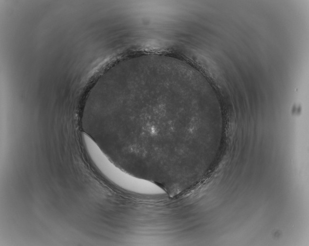 X0000091700689200709141100