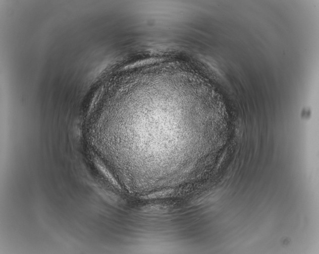 X0000091700691200709141100