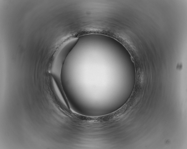 X0000091700692200709141100