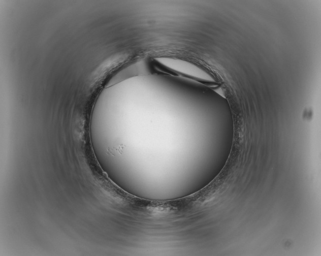 X0000091700693200709141100