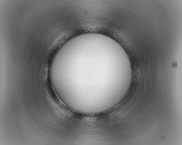 X0000091700694200709141100