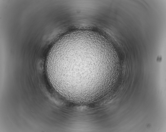 X0000091700695200709141100