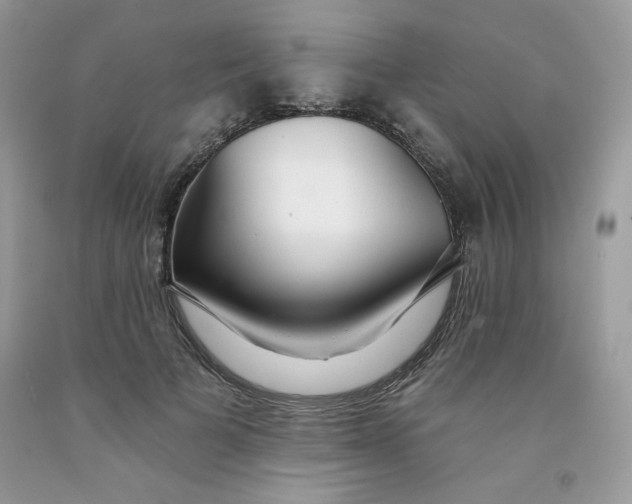 X0000091700697200709141100