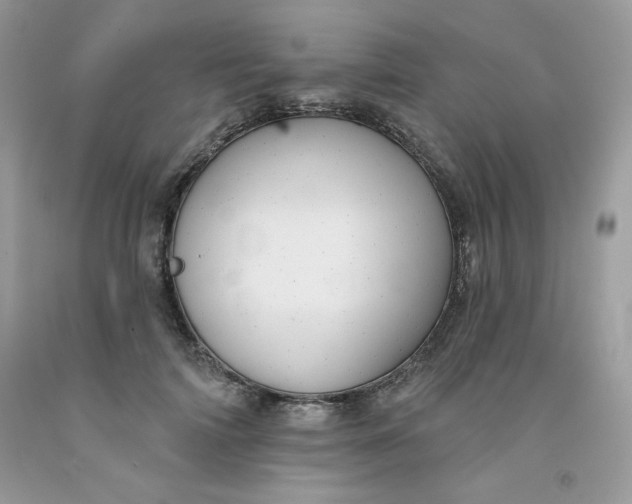 X0000091700698200709141100