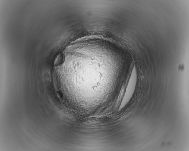 X0000091700699200709141100