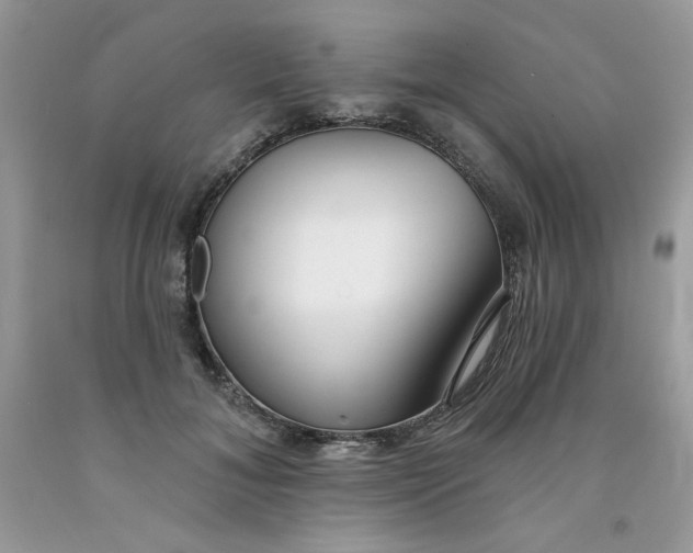 X0000091700700200709141100