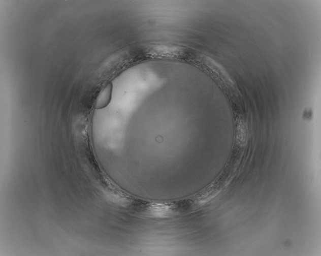 X0000091700701200709141100