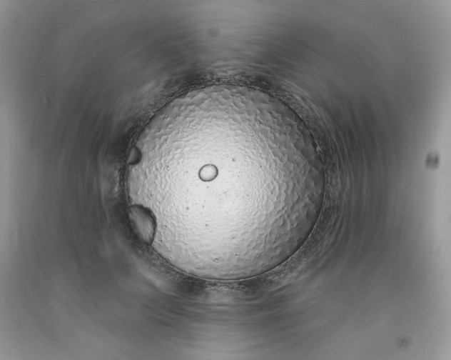 X0000091700703200709141100