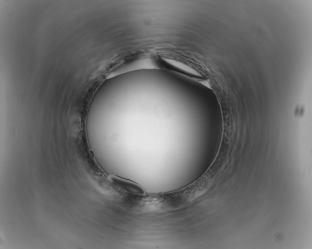 X0000091700704200709141100