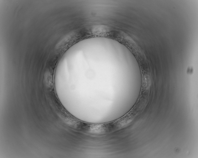 X0000091700705200709141100