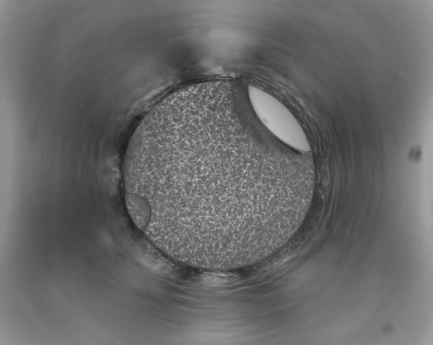 X0000091700707200709141100