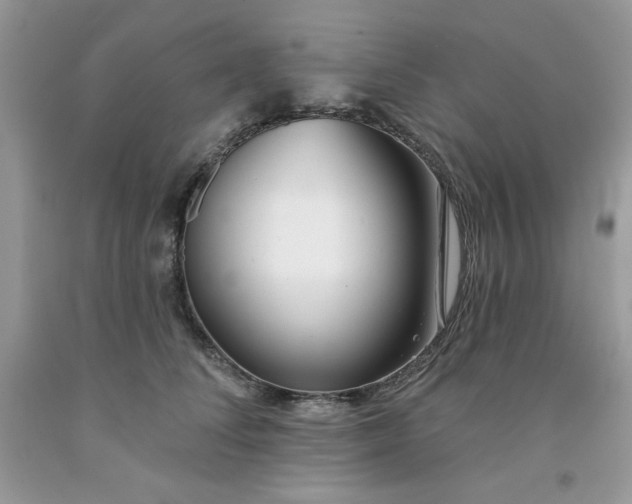 X0000091700708200709141100