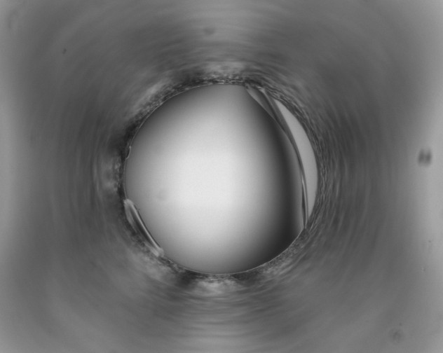 X0000091700712200709141059