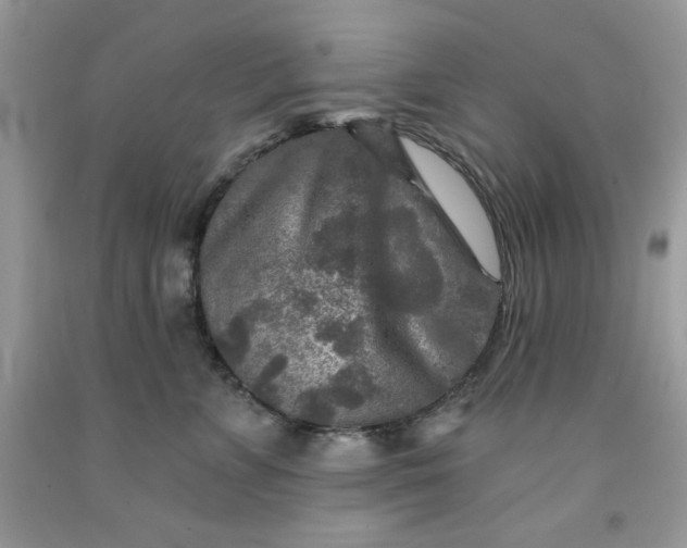 X0000091700715200709141059