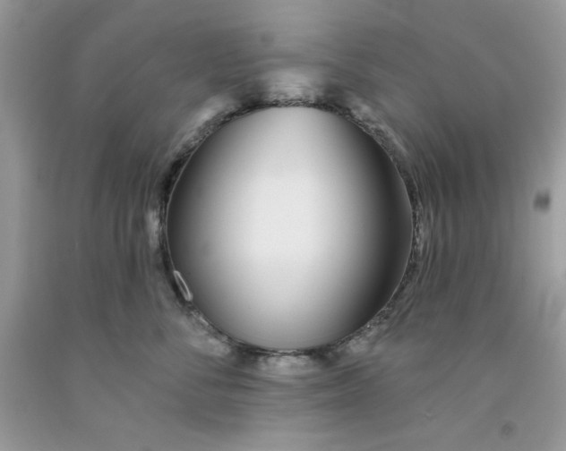 X0000091700716200709141059