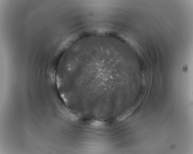 X0000091700718200709141059