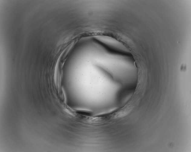 X0000091700720200709141059