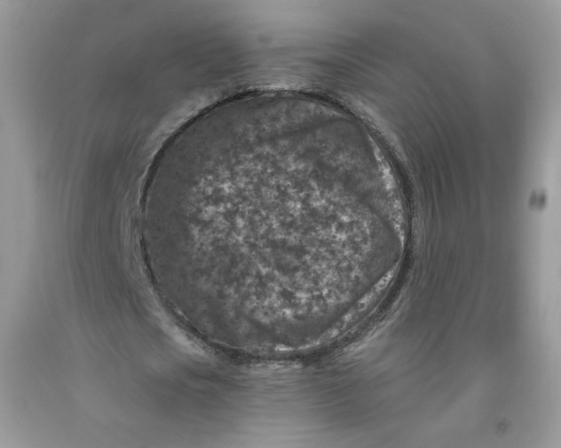 X0000091700721200709141059