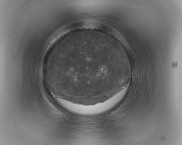 X0000091700722200709141059