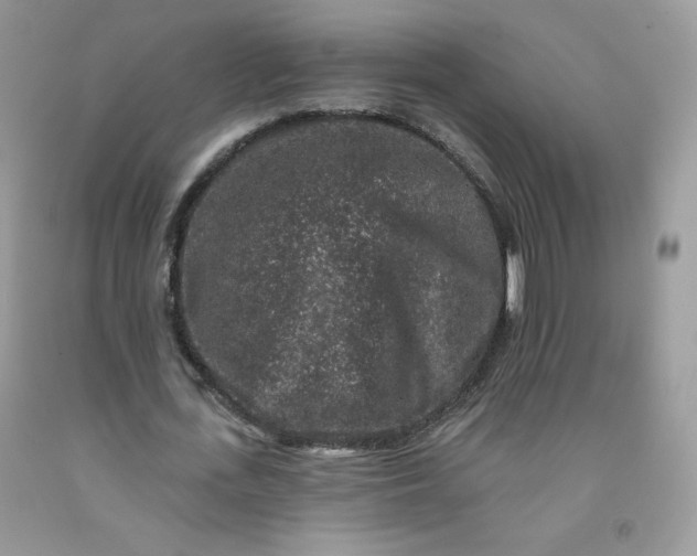 X0000091700723200709141059