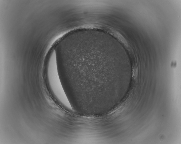 X0000091700724200709141059