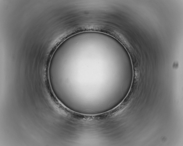 X0000091700725200709141059