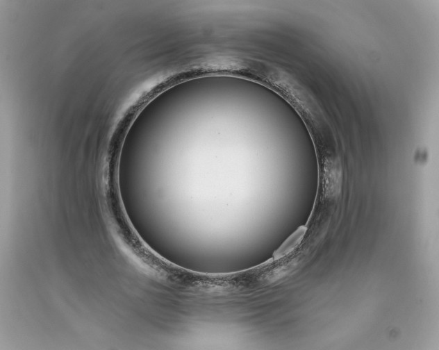 X0000091700726200709141059