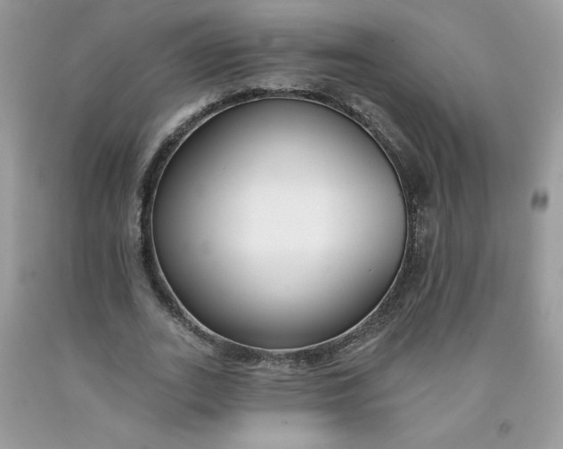 X0000091700727200709141059