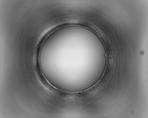 X0000091700728200709141059