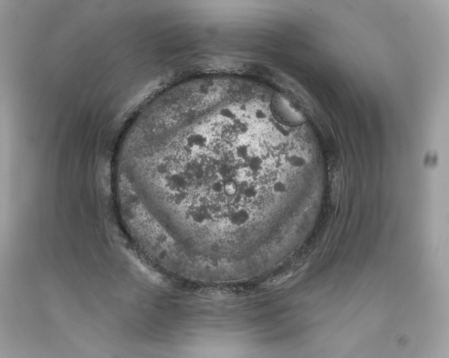 X0000091700729200709141059