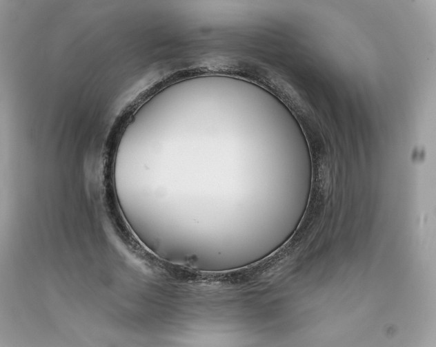 X0000091700730200709141059