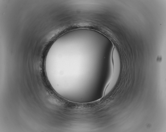 X0000091700732200709141059