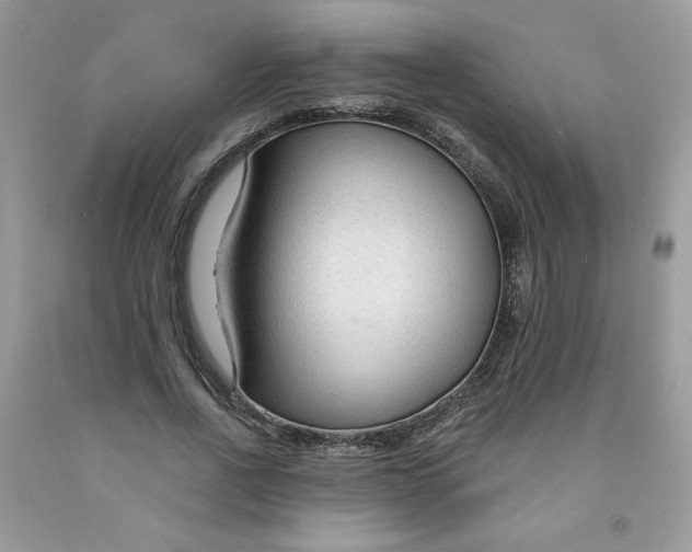 X0000091700734200709141059