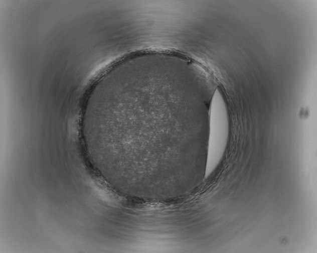 X0000091700736200709141059