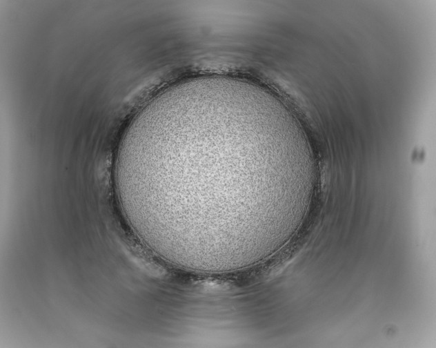 X0000091700737200709141059