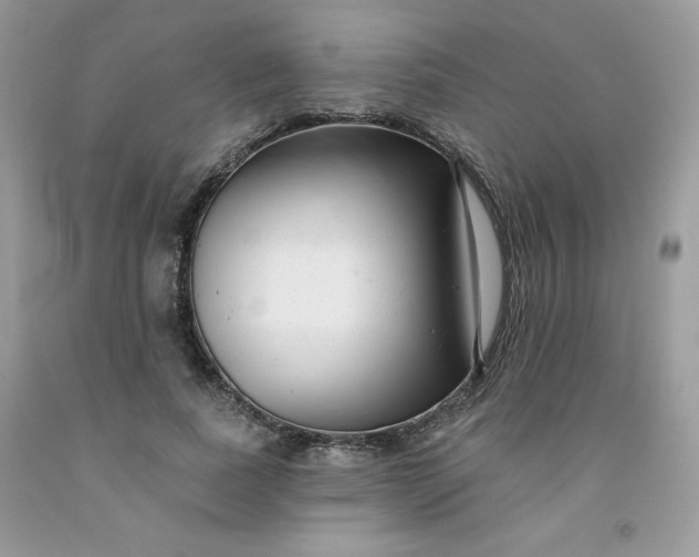 X0000091700739200709141059