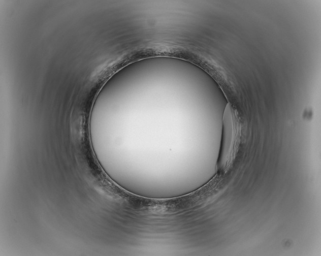 X0000091700740200709141059