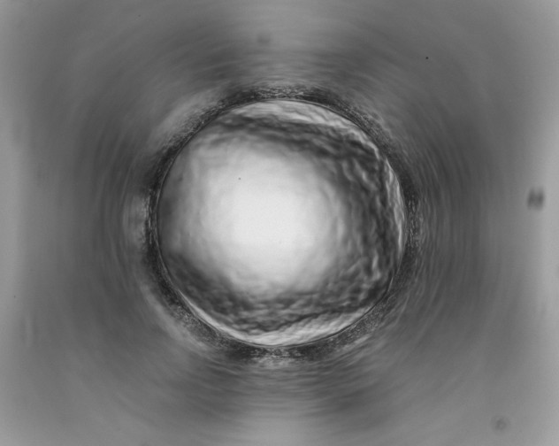 X0000091700742200709141059