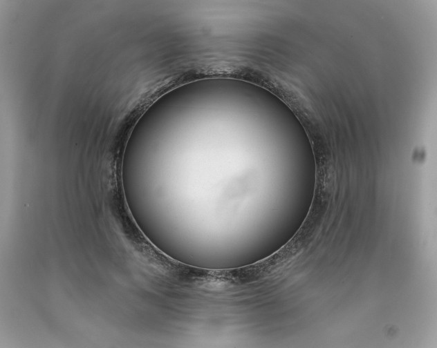 X0000091700743200709141059