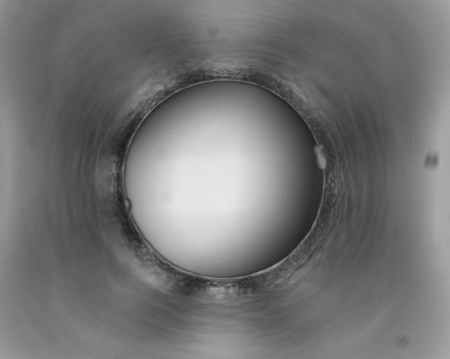 X0000091700744200709141059