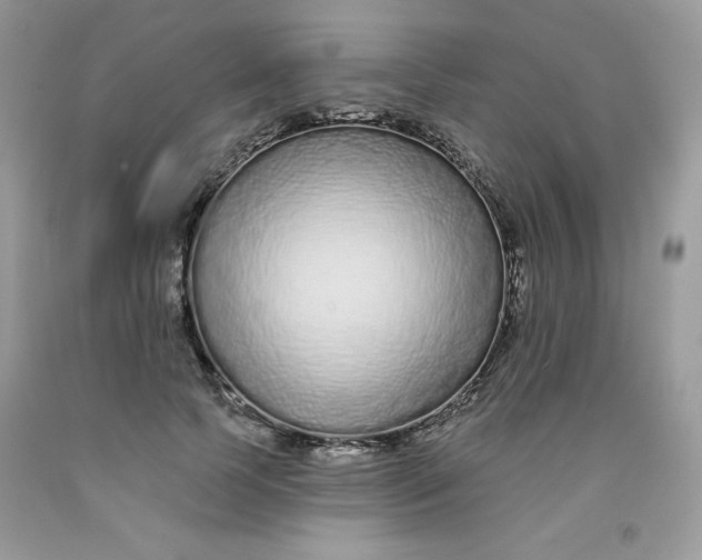 X0000091700745200709141059