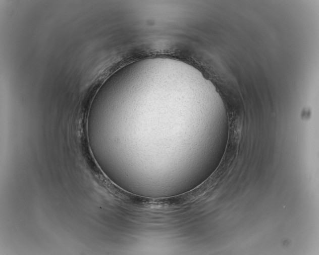 X0000091700746200709141059