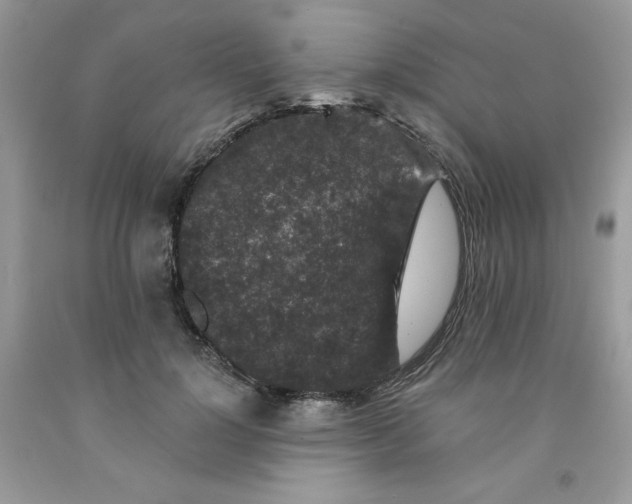 X0000091700748200709141059